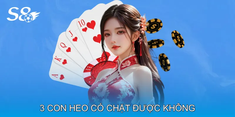 3 Con Heo Có Chặt Được Không Trong Các Tình Huống Khó 3 Con Heo Có Chặt Được Không Trong Các Tình Huống Khó