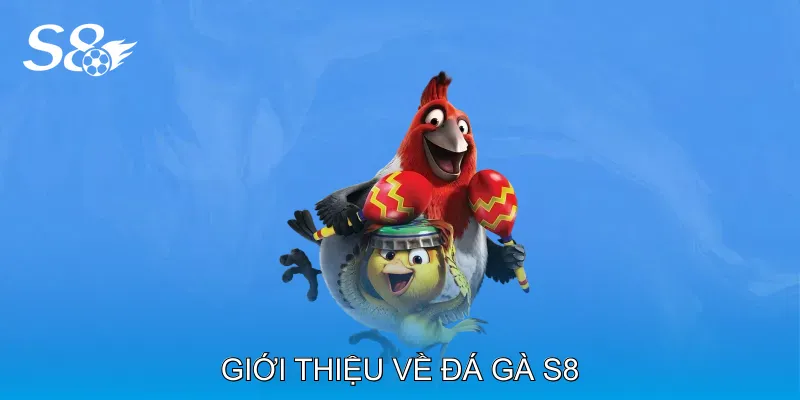 Đá Gà S8 Trải Nghiệm Cá Cược Trực Tuyến Kịch Tính Hấp Dẫn Giới thiệu về Đá gà S8