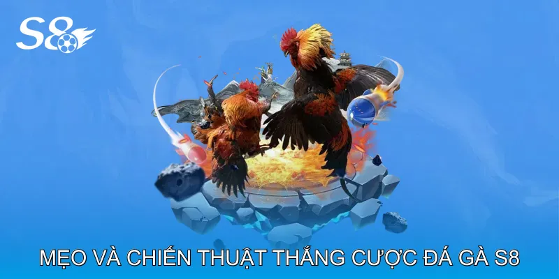 Đá Gà S8 Trải Nghiệm Cá Cược Trực Tuyến Kịch Tính Hấp Dẫn Mẹo và chiến thuật thắng cược Đá gà S8