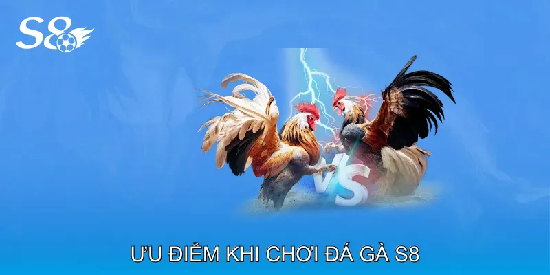 Đá Gà S8 Trải Nghiệm Cá Cược Trực Tuyến Kịch Tính Hấp Dẫn Ưu Điểm Khi Chơi Đá Gà S8